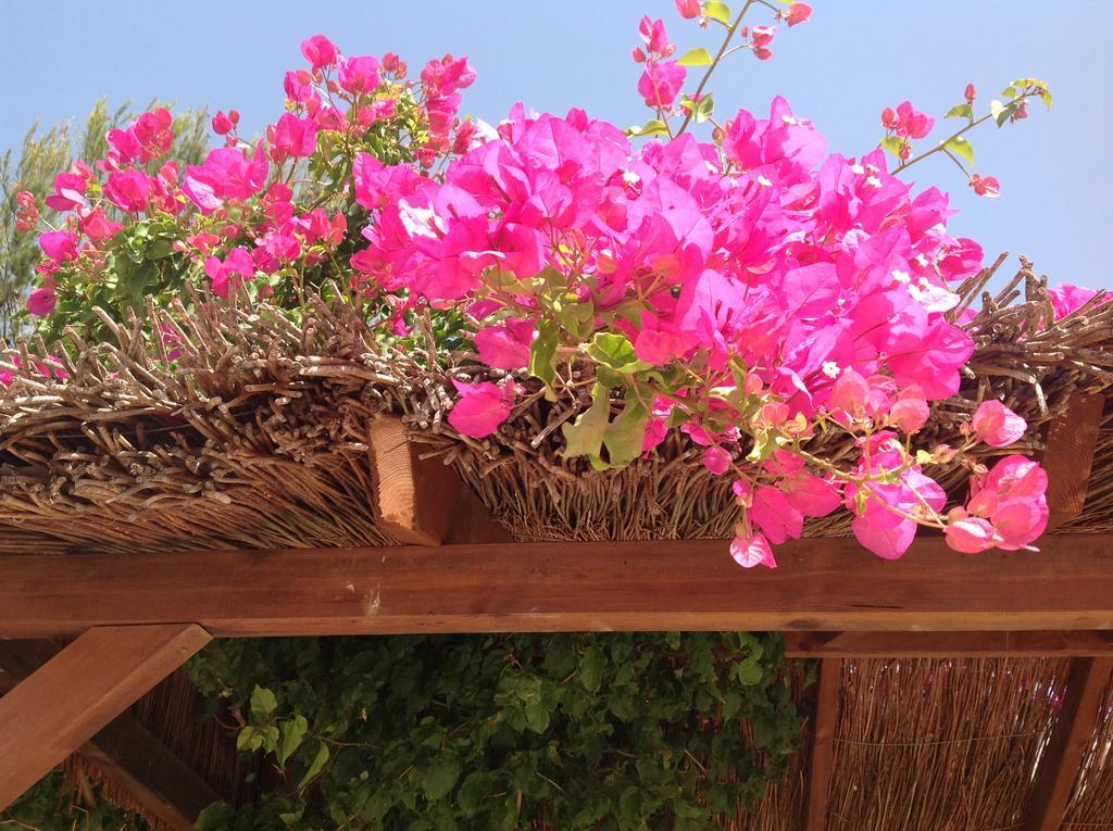 Finca Klara, Boutiquehotel - Apartment -Javea-Moraira- Benitachell Eksteriør bilde